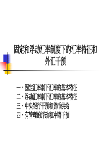 固定和浮动汇率制度下的汇率特征和外汇干预