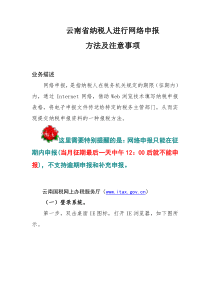 XXXX年云南省国税纳税人进行网络申报方法及注意事项