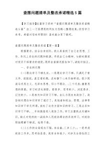 查摆问题清单及整改承诺精选5篇