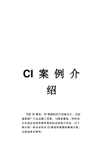 CI 案 例 介 绍广东恒丰投资集团有限公司(doc 14)