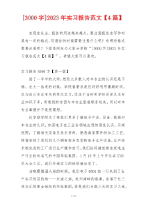 [3000字]2023年实习报告范文【4篇】