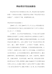 网站项目开发总结报告