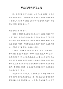 职业化培训学习总结