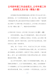 公司的年度工作总结范文_公司年度工作总结范文及计划（精选5篇）