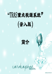 “TRAS重点税源调查与分析系统”简介