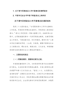 关于青年思想政治工作开展情况的调研报告和年轻干部座谈会上的讲话范文两篇汇编