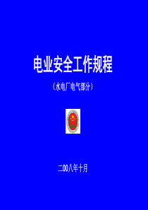 《电业安全工作规程(水电厂电气部分)》讲义