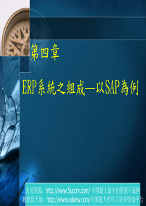 P系统之组成—以SAP为例