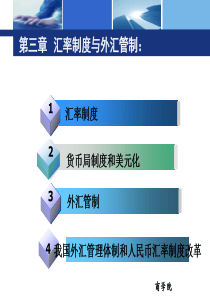 第三章汇率制度和外汇管制