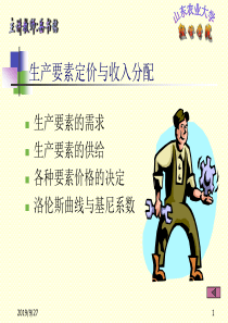 生产要素定价与收入分配(PPT 45页)