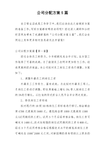 公司分配方案5篇