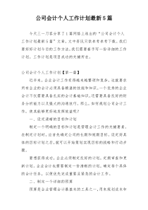 公司会计个人工作计划最新5篇