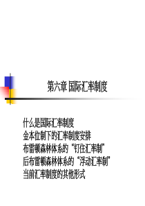 第六章国际汇率制度2