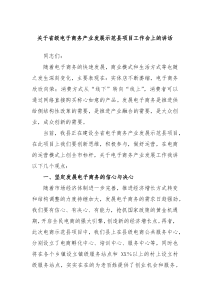 关于省级电子商务产业发展示范县项目工作会上的讲话