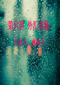 第六讲外汇市场