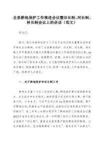 全县耕地保护工作推进会议暨田长制、河长制、林长制会议上的讲话（范文）