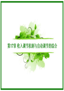 第17章收入调节机制与自动调节的综合