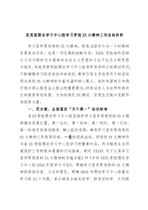 某党组理论学习中心组学习贯彻XX大精神工作总结材料