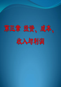 第三章_投资、成本、收入与利润