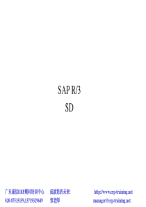 SAP R3 sd