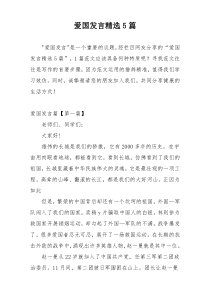 爱国发言精选5篇