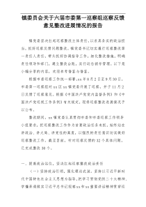 镇委员会关于六届市委第一巡察组巡察反馈意见整改进展情况的报告