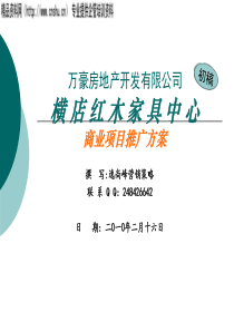 横店红木家具中心推广案