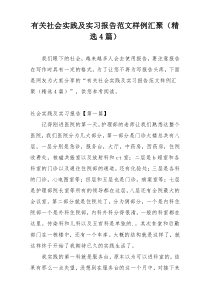 有关社会实践及实习报告范文样例汇聚（精选4篇）