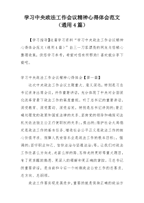 学习中央政法工作会议精神心得体会范文（通用4篇）