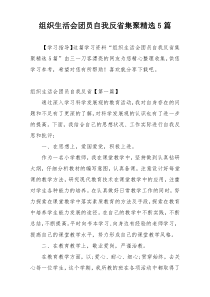 组织生活会团员自我反省集聚精选5篇