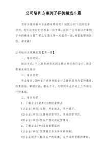 公司培训方案例子样例精选5篇