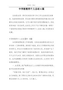 中学新教师个人总结4篇