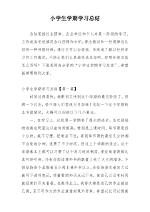 小学生学期学习总结