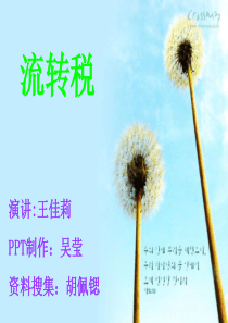 公共经济学——流转税