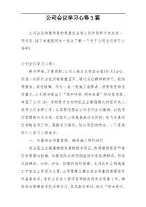 公司会议学习心得3篇