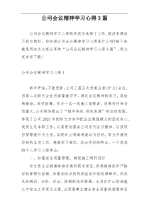 公司会议精神学习心得3篇