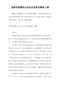 县委巡视整改生活会征求意见精选4篇