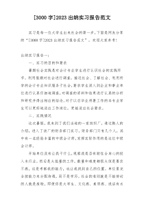 [3000字]2023出纳实习报告范文