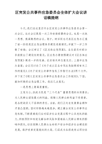 区突发公共事件应急委员会全体扩大会议讲话稿提纲