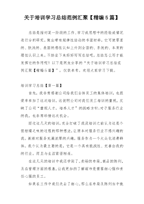 关于培训学习总结范例汇聚【精编5篇】