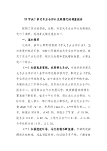 XX市关于农民专业合作社发展情况的调查报告