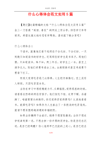 什么心得体会范文实用5篇