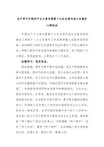 关于学习中国共产主义青年团第十九次全国代表大会报告心得体会