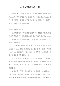 公司试用期工作计划