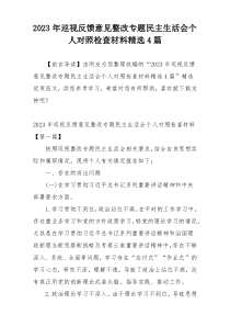 2023年巡视反馈意见整改专题民主生活会个人对照检查材料精选4篇