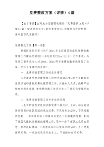 党费整改方案（详情）4篇