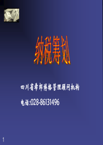 四川省希郎博格管理纳税筹划(1)