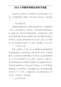 2023小学教师学期总结例子借鉴