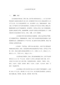 山东省投资环境分析