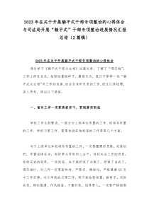 2023年在关于开展躺平式干部专项整治的心得体会与司法局开展“躺平式”干部专项整治进展情况汇报总